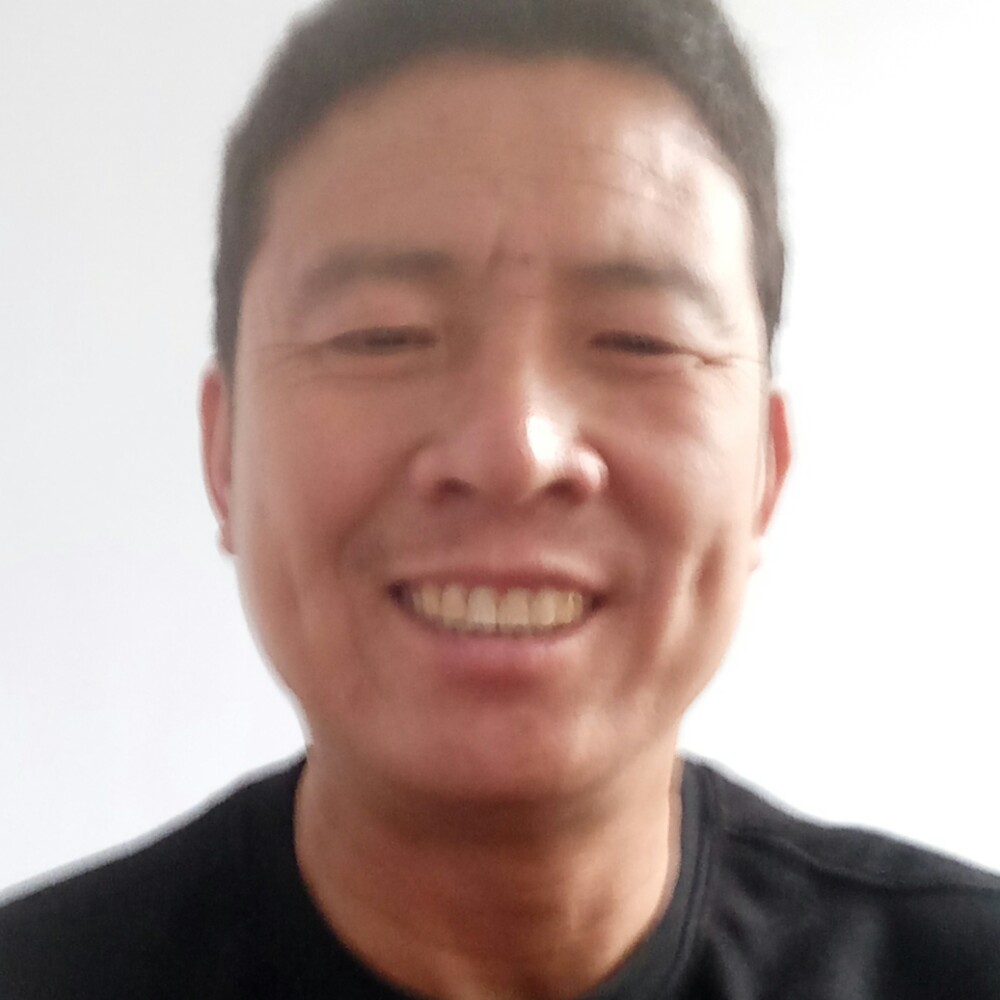 含羞草那傻傻的照片
