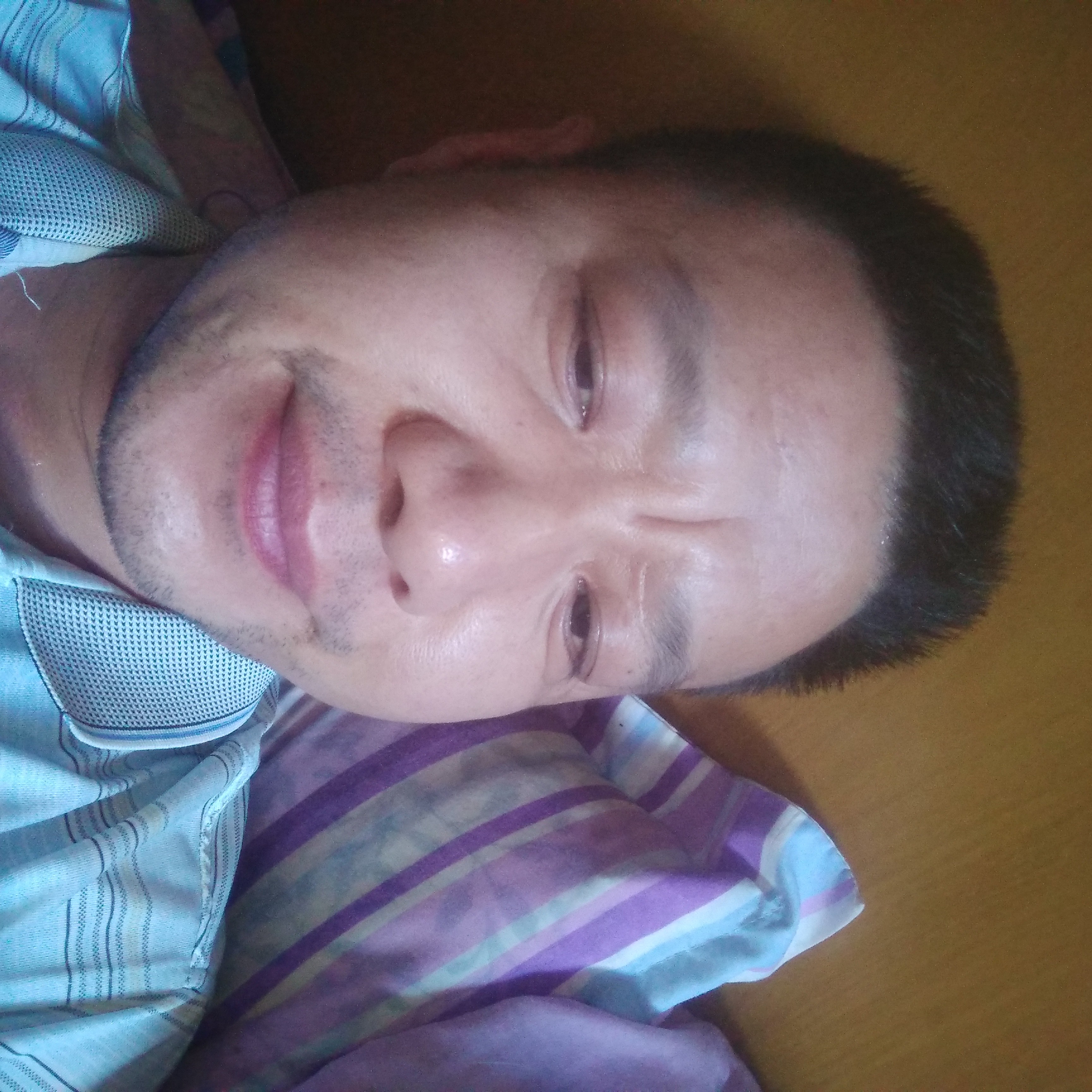我们的向曲奇的照片