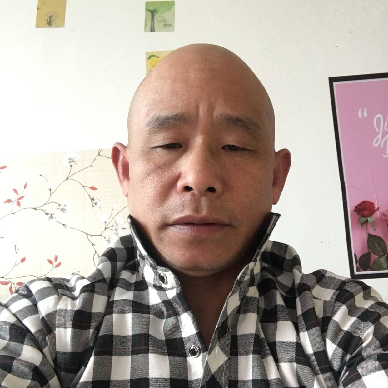 树叶泪了痴情的照片