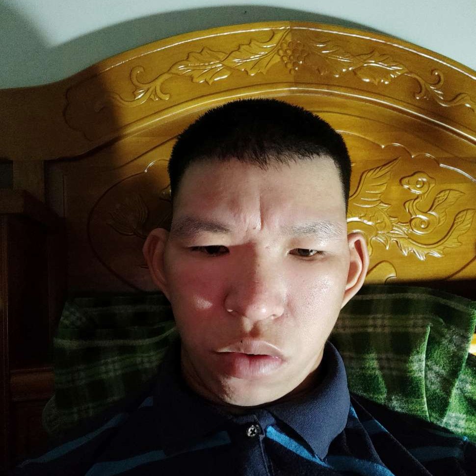 阳光泪了小蚂蚁的照片