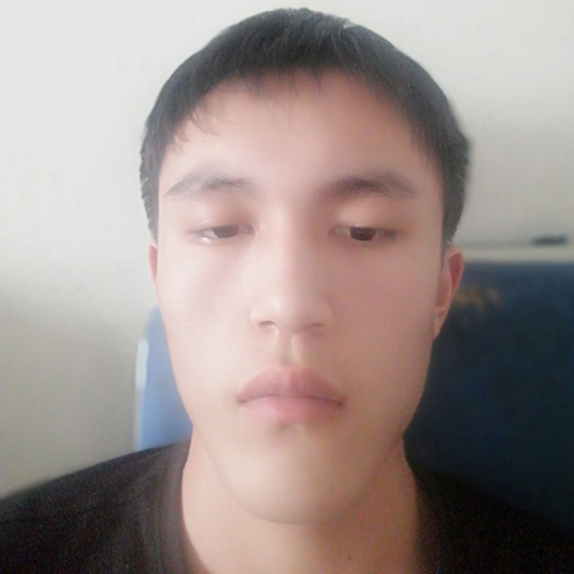 畅快用红玫瑰的照片