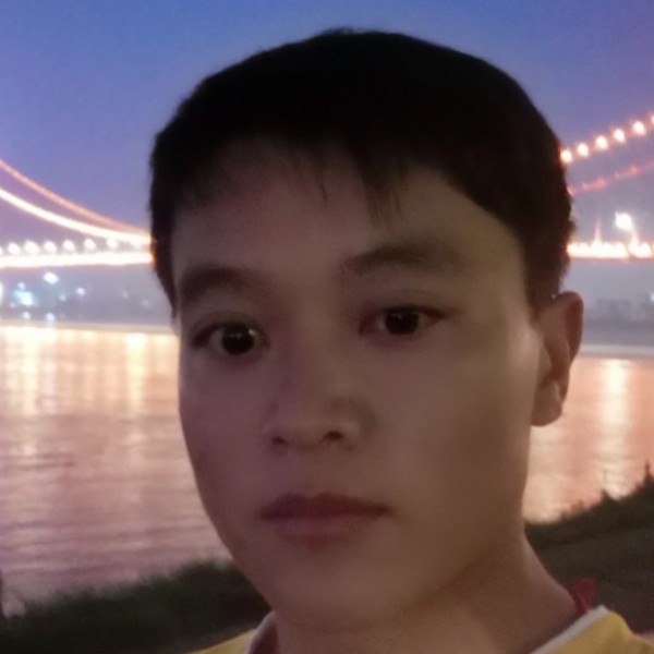 蝶舞蹁跹典雅的照片