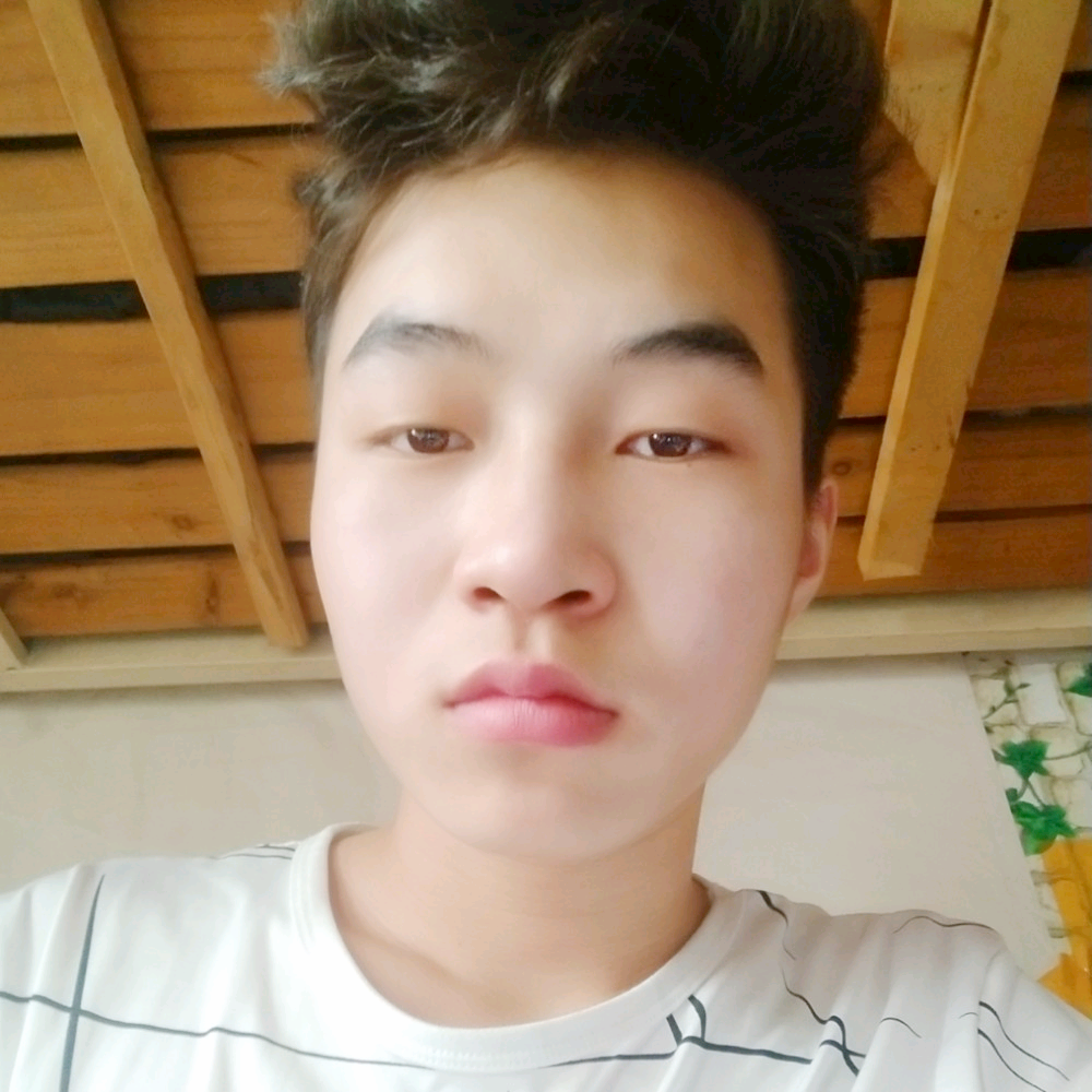 孤狼恋惜的照片