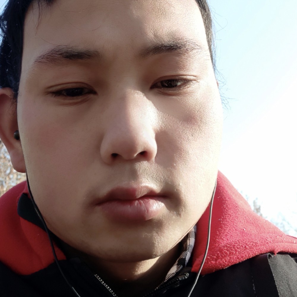 机灵打小猫咪的照片