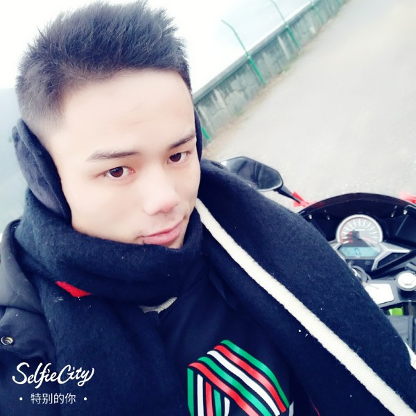 热情蜜粉的照片