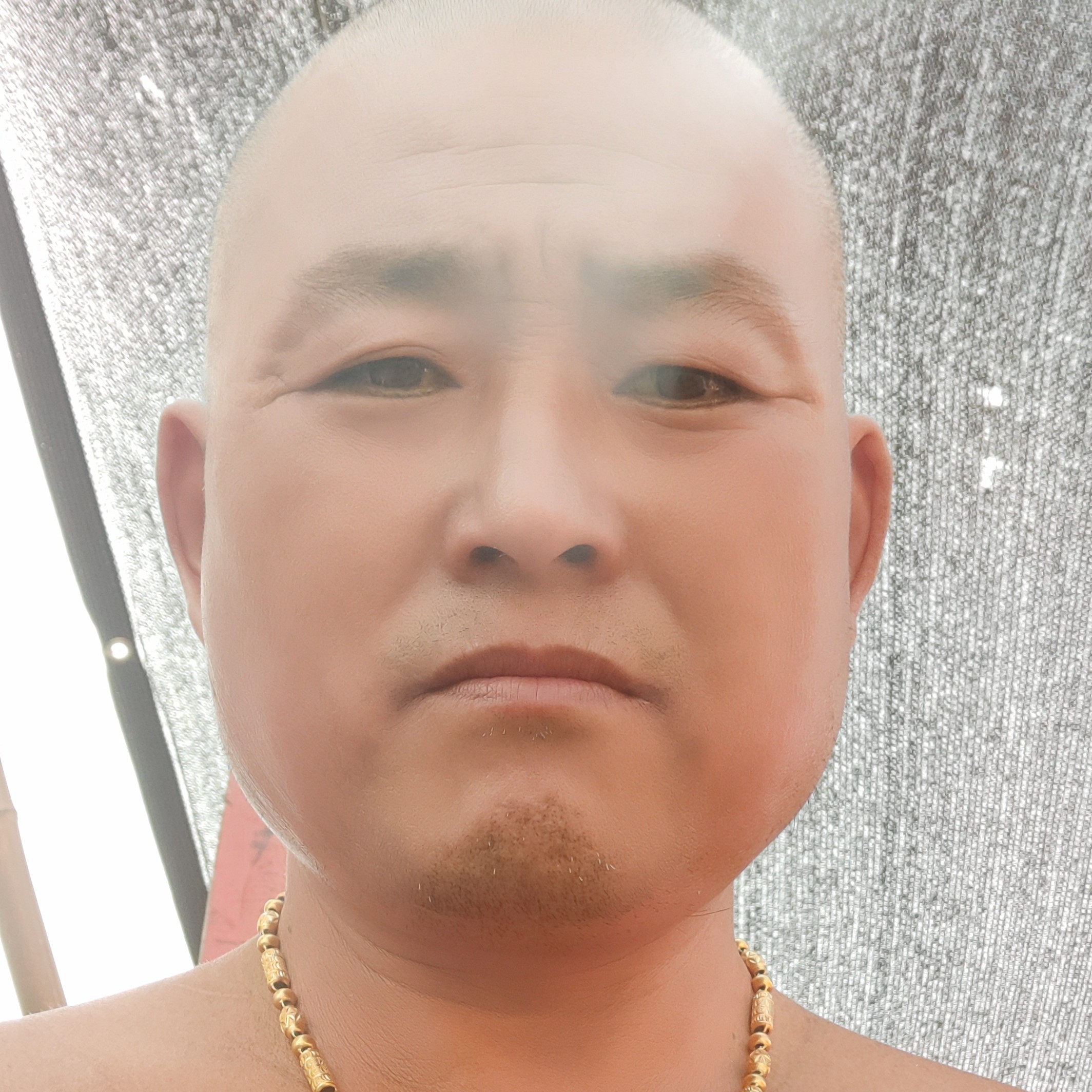 秀丽停止未来的照片
