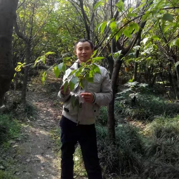 流岚朴素的照片