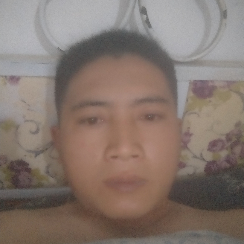 挚手一生的照片
