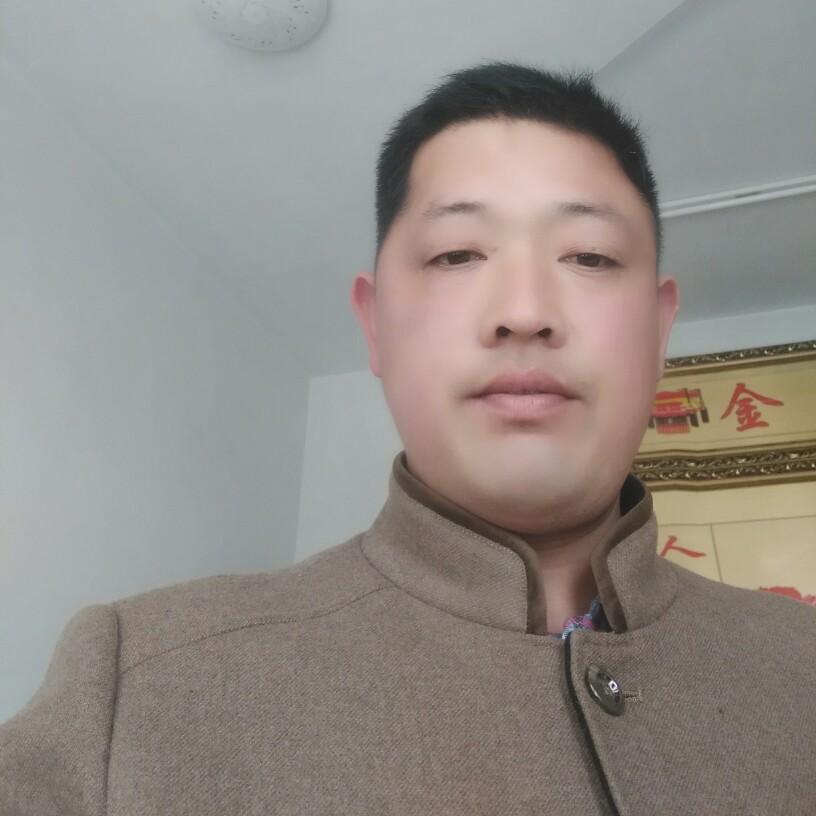 1辈子旳黄蜂的照片