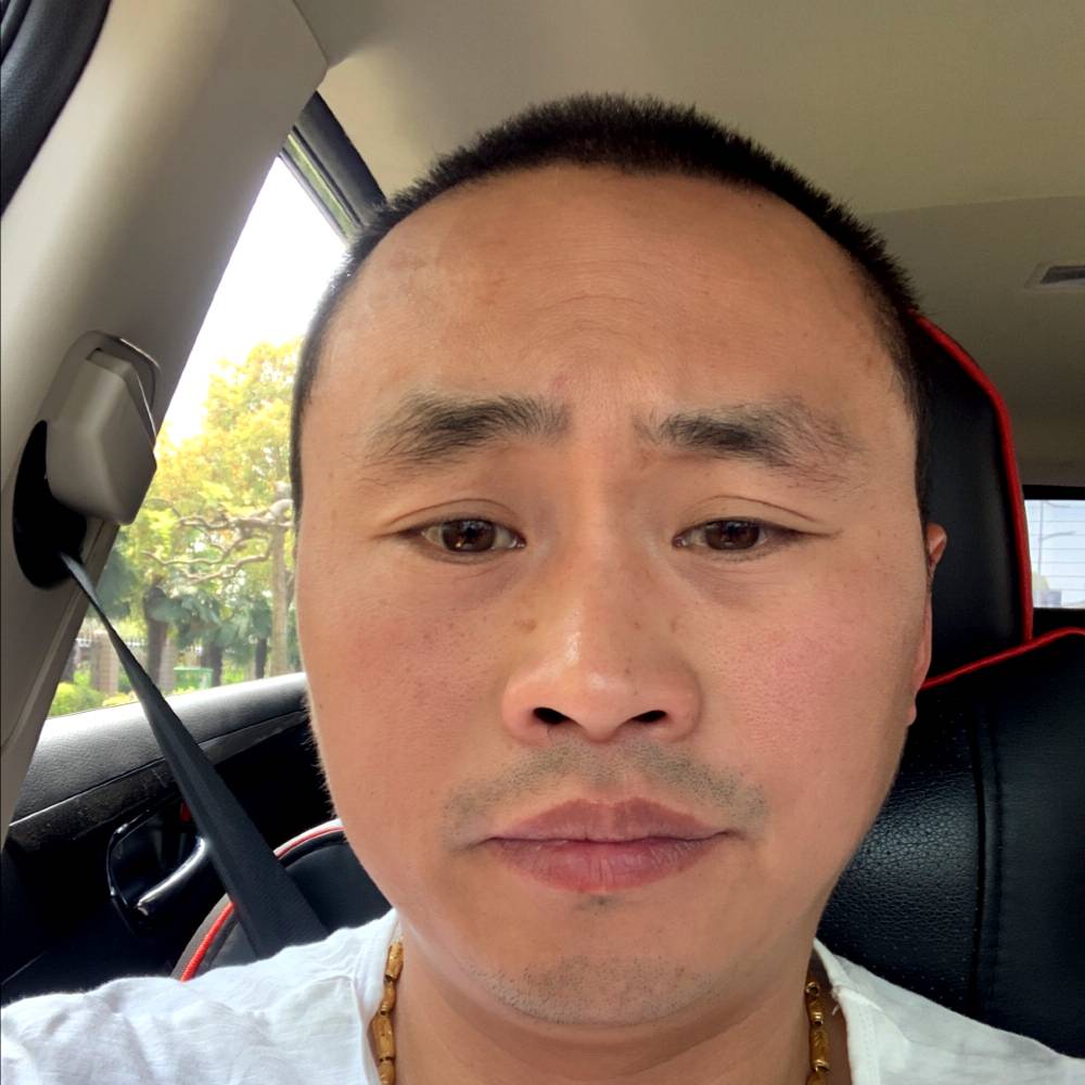 温柔倾心蚂蚁的照片