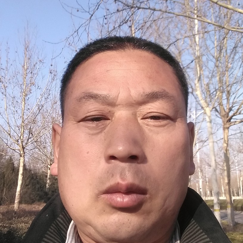 南山菊渊的照片