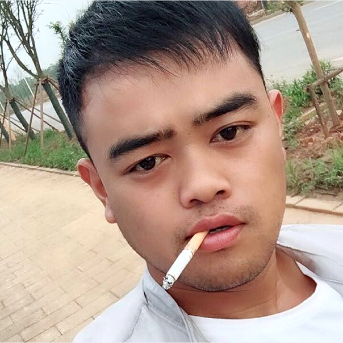 心灵美那饼干的照片