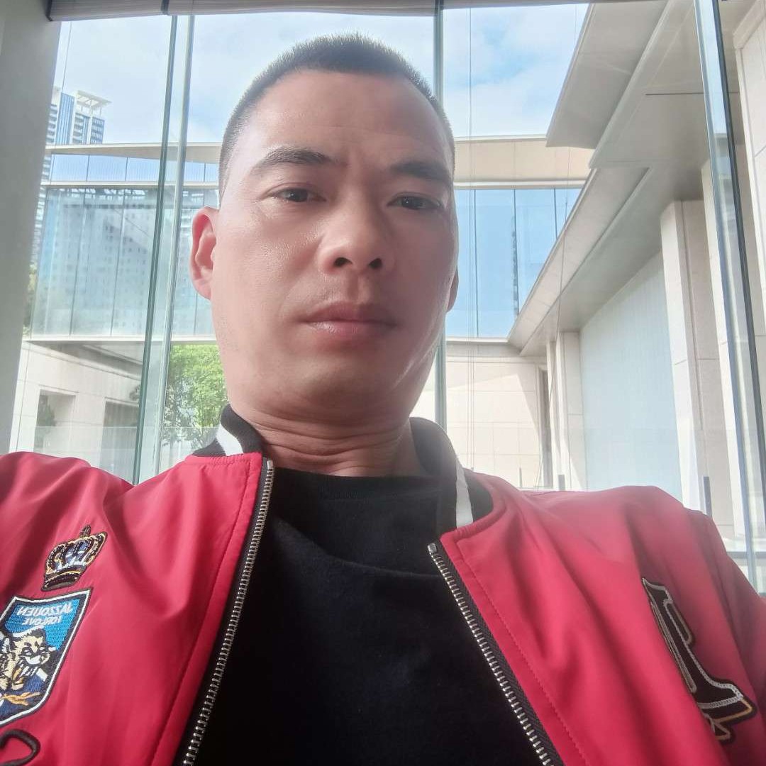笨蛋，笨蛋的照片