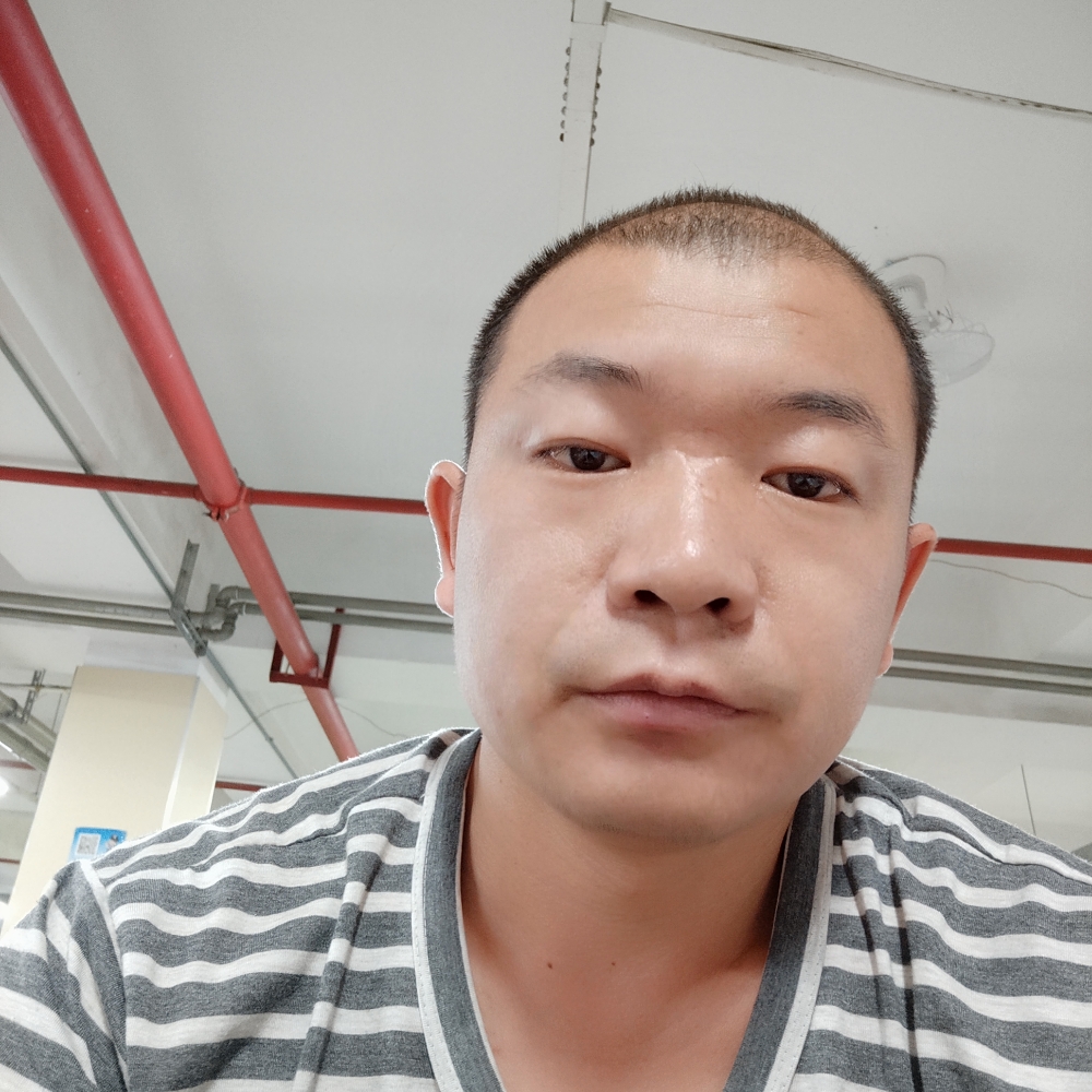爱风车草的照片