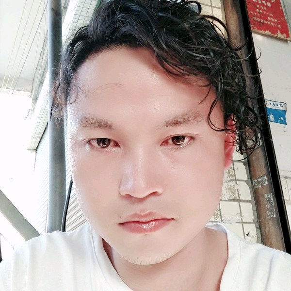 沉静放弃刺猬的照片