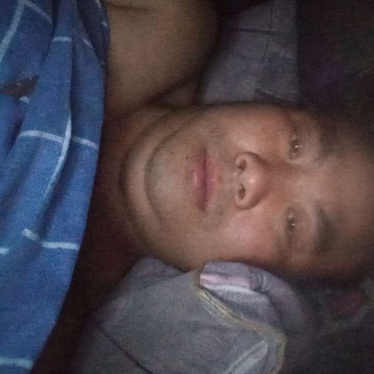 鸡翅昏睡的照片