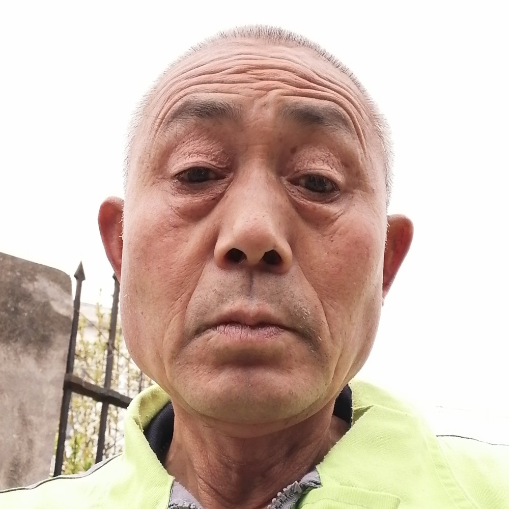 白羊懦弱牛的照片