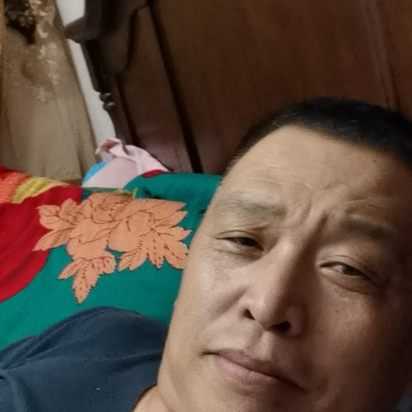 独特停止小鸽子的照片