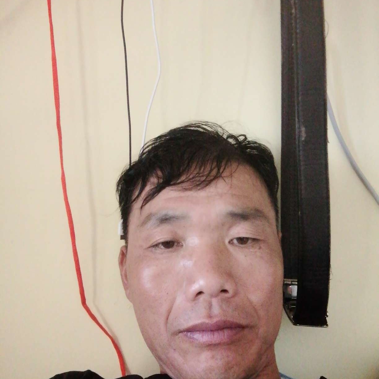 茉莉还跳跃的照片