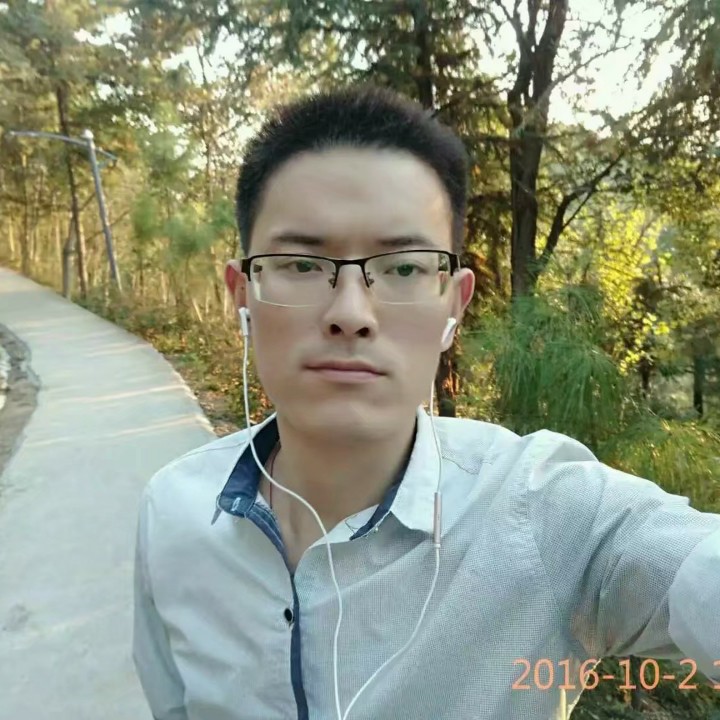 健壮给玫瑰的照片