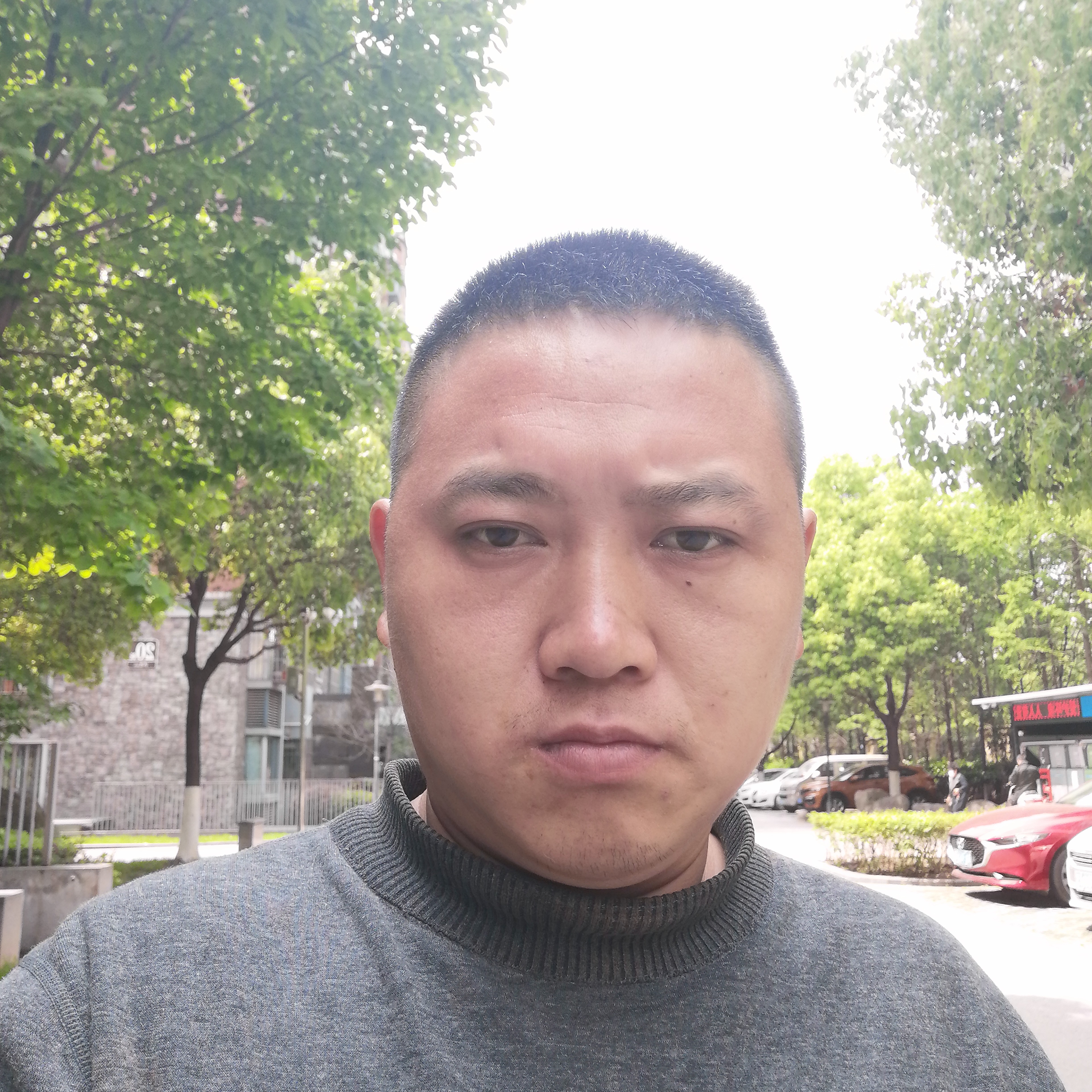冬日的香蕉的照片
