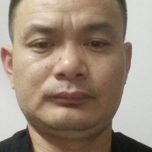 拼搏书本的照片