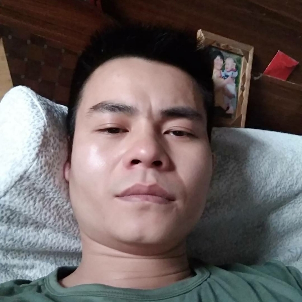 大雁悲凉的照片