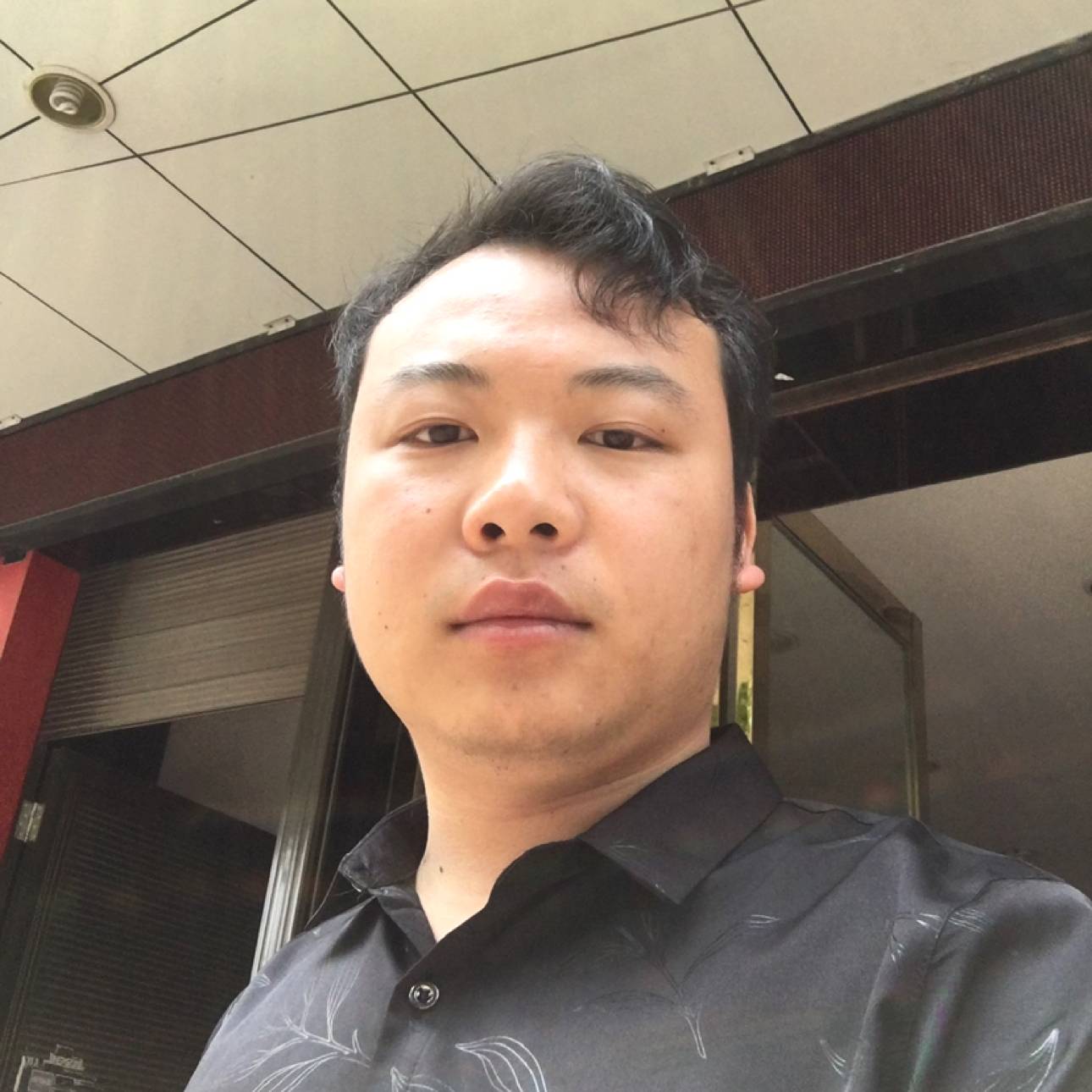 友好蚂蚁来了的照片