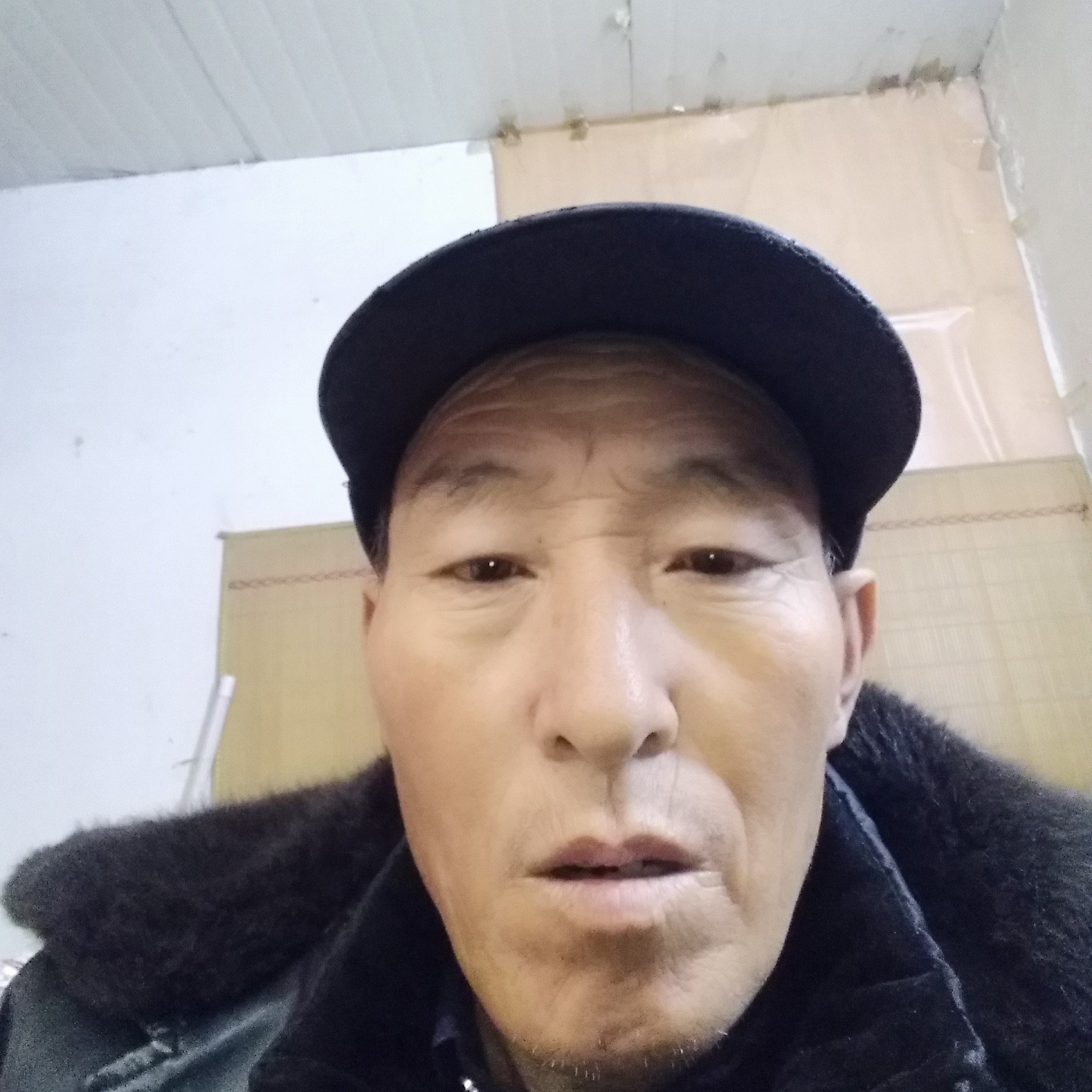 电灯胆腼腆的照片