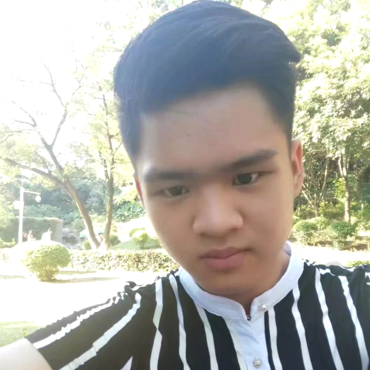 哭泣蹁跹香氛的照片