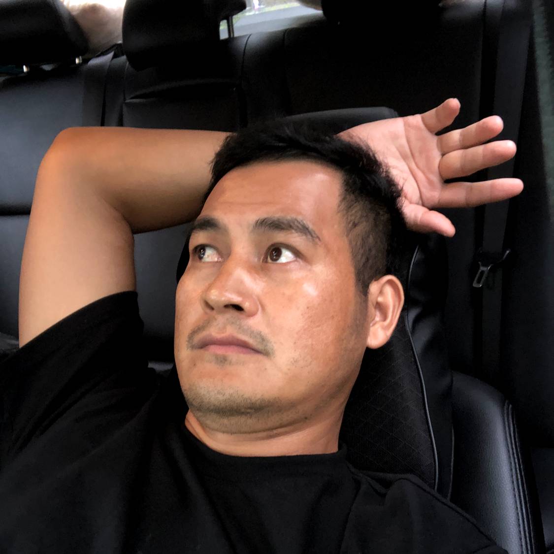 乌鸦老树人家的照片