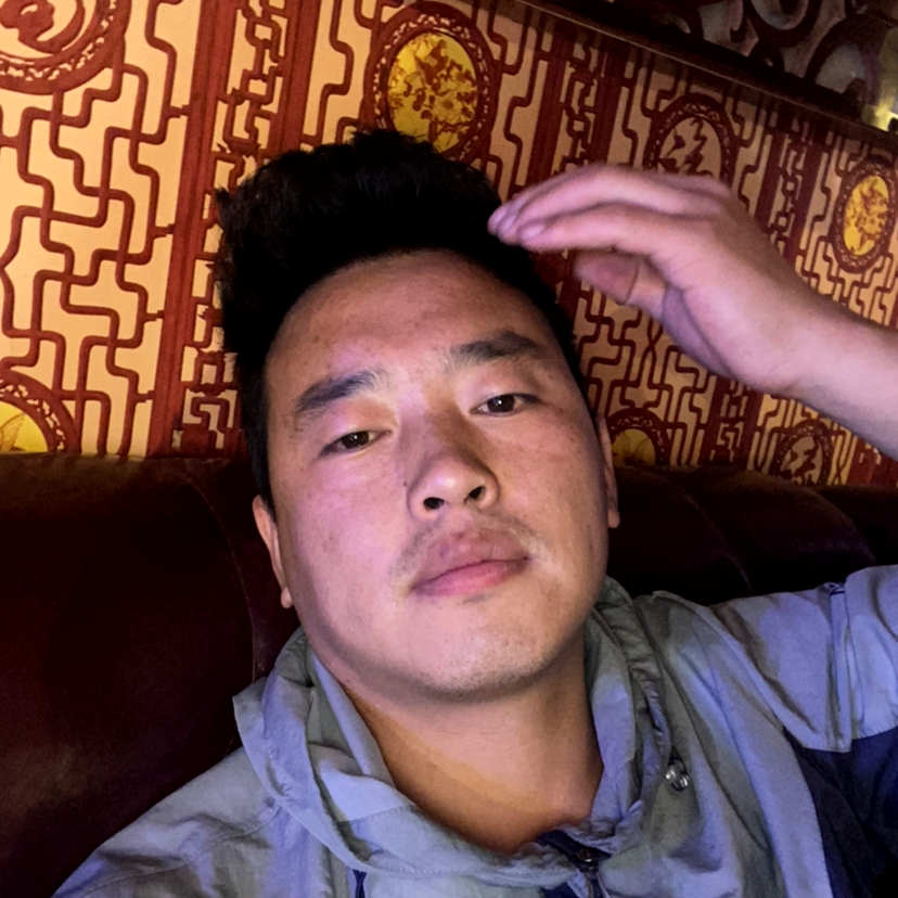 绚烂爱恋小蜜蜂的照片