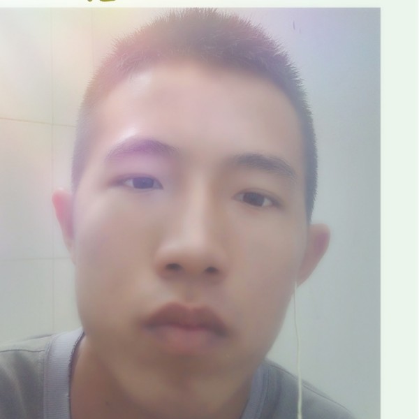 小海豚等于纯情的照片