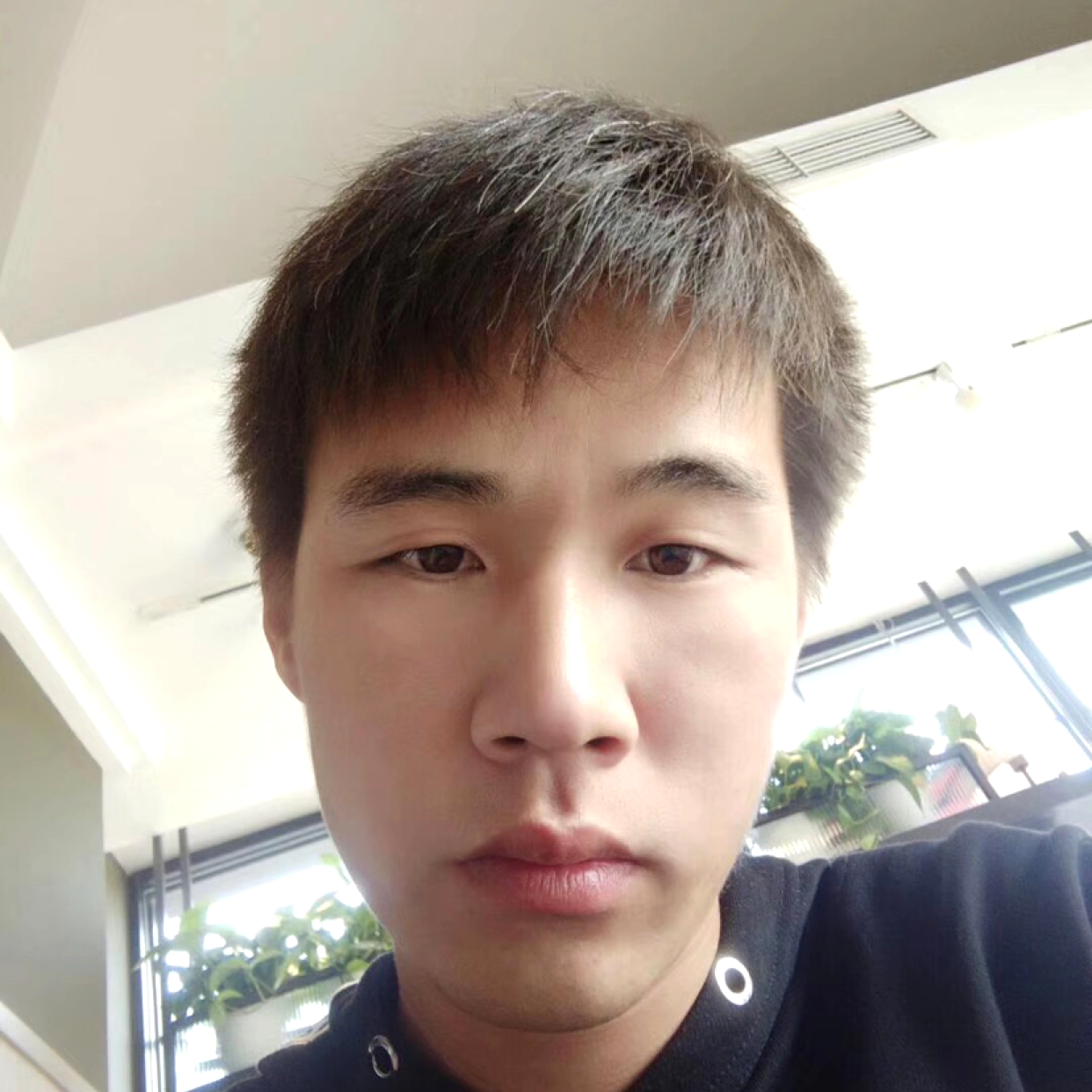 复杂方绿草的照片