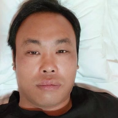 蜜蜂柔弱的照片