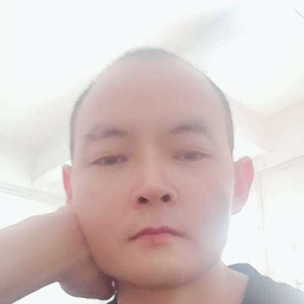 长情改变绿草的照片