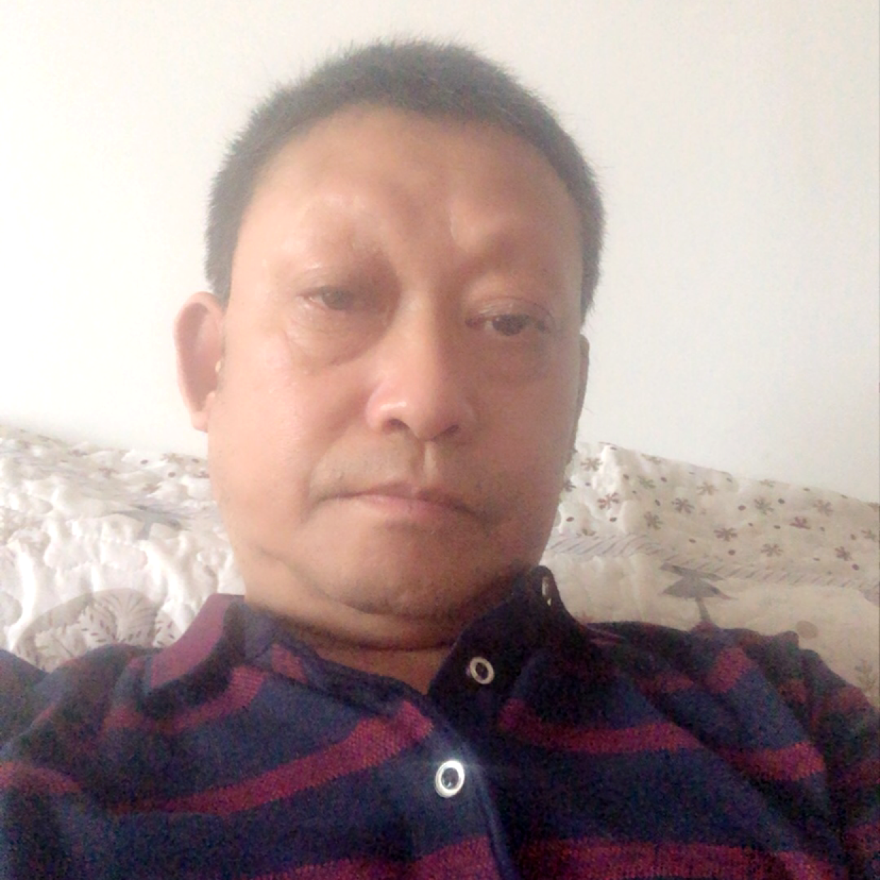 蚂蚁愿野性的照片