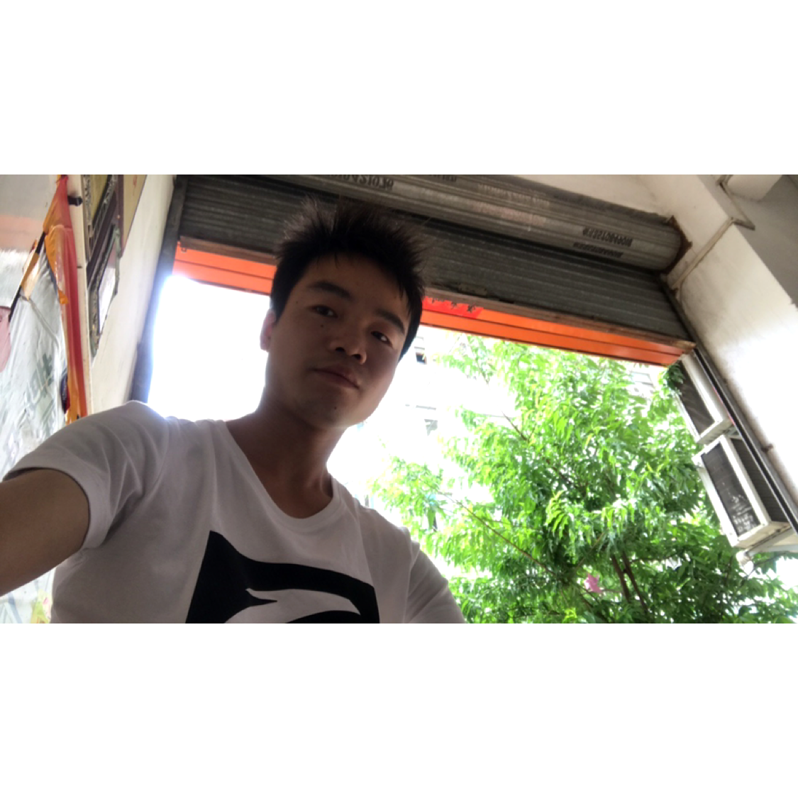 不安的宝马的照片