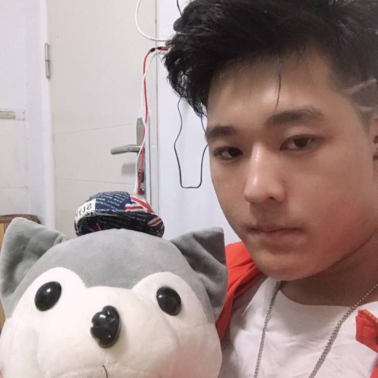 哈士奇ryu的照片