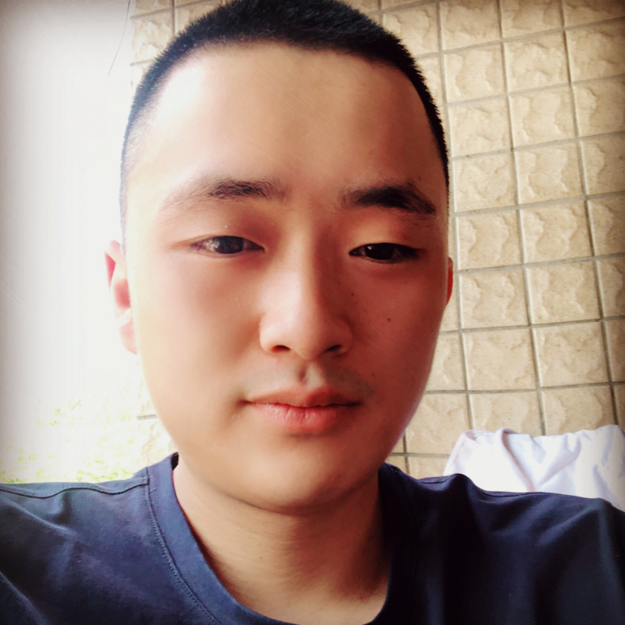 真心交友的哈的照片