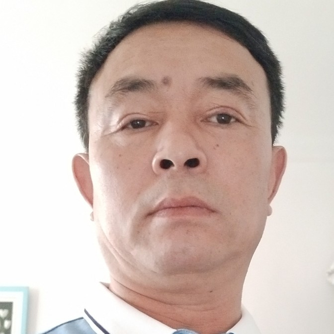 坚强的小猪的照片