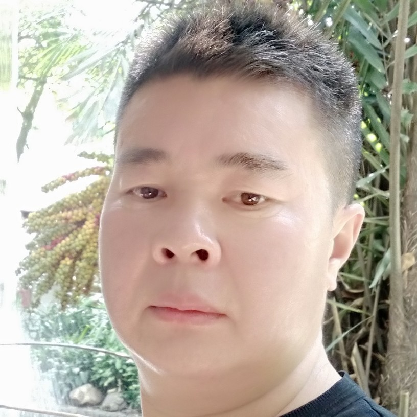 8953888的照片