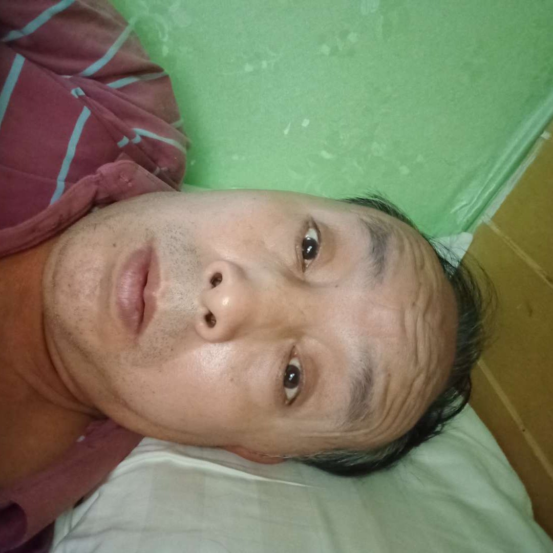 复杂用红玫瑰的照片