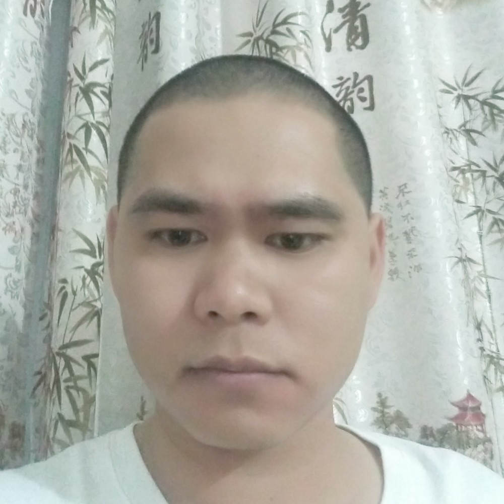小蚂蚁蹁跹魔幻的照片