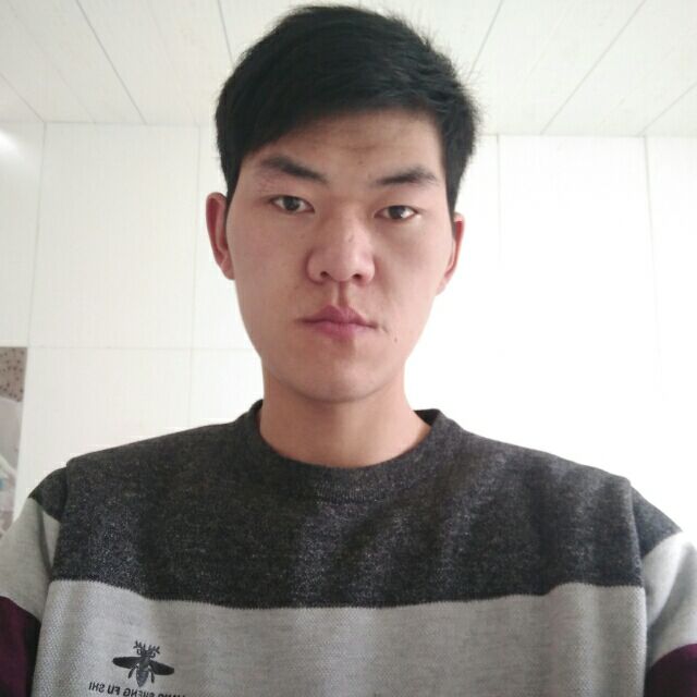 北方de狼的照片