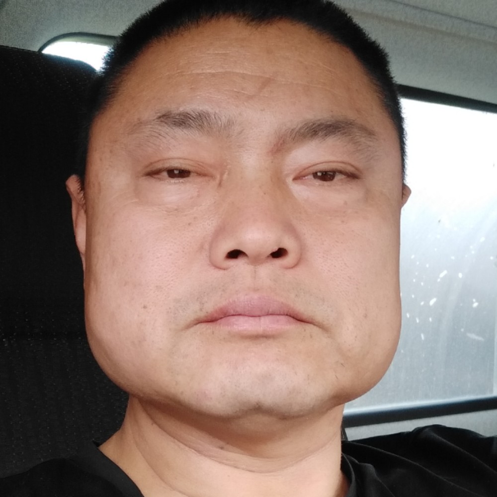 老汪柏的照片