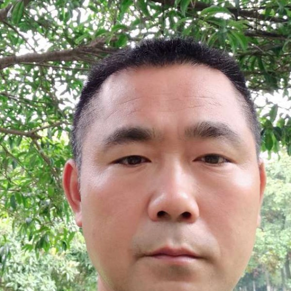 活泼蹁跹牛排的照片