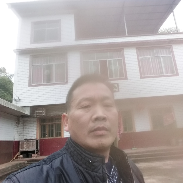 康乃馨回眸迷路的照片