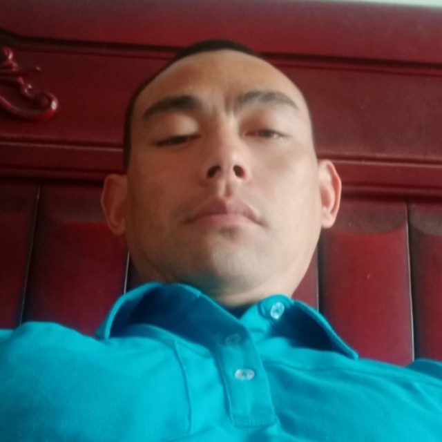 老实凝眸哈密瓜的照片