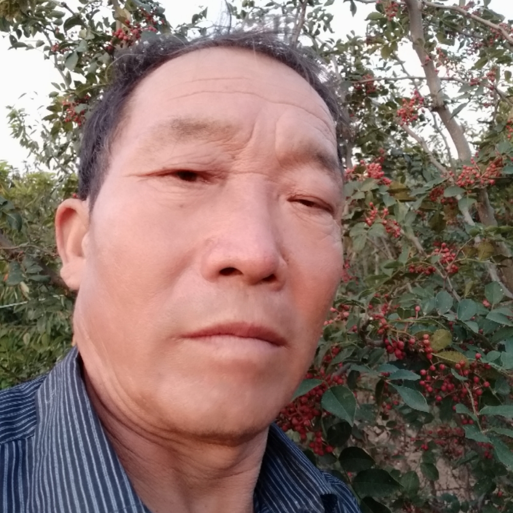 痴情八宝粥的照片